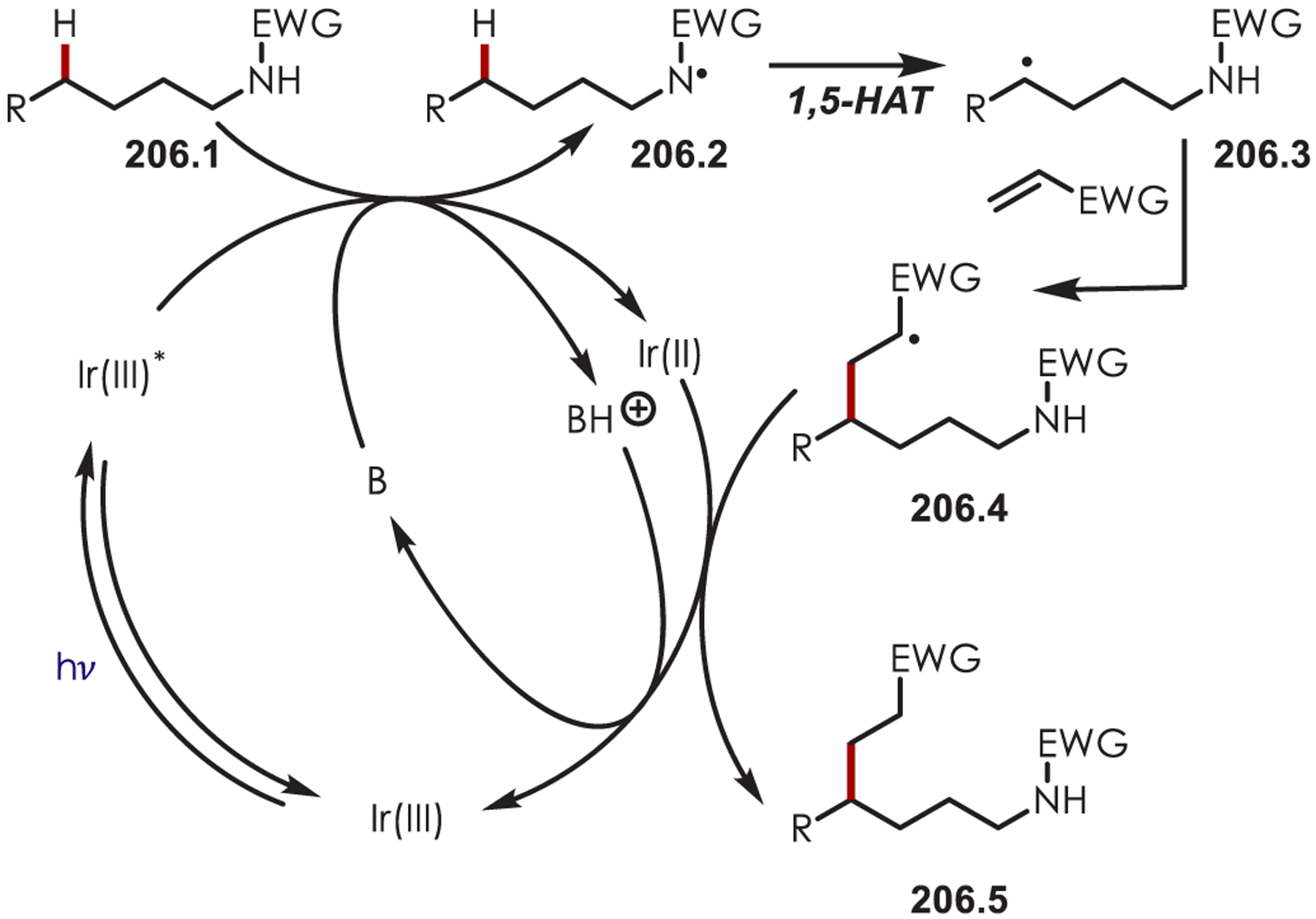 Scheme 206.