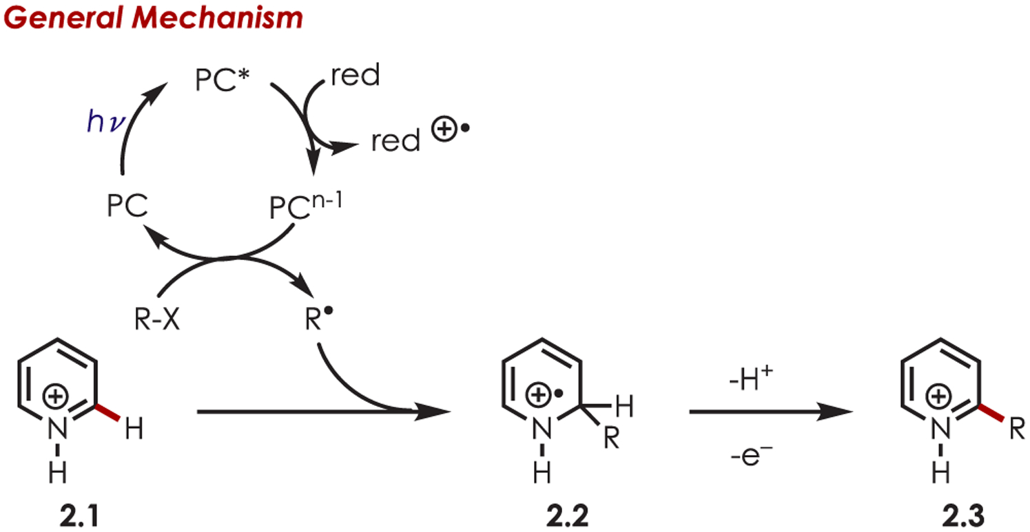 Scheme 2.