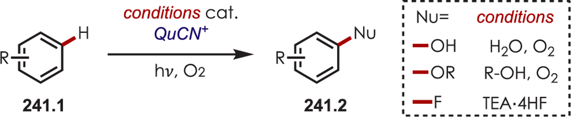 Scheme 241.