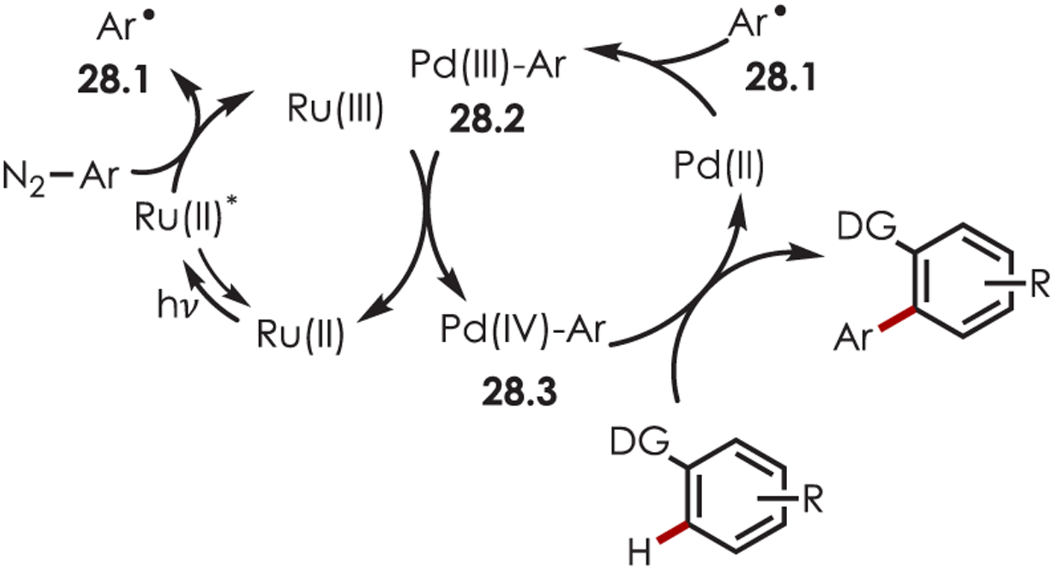 Scheme 28.