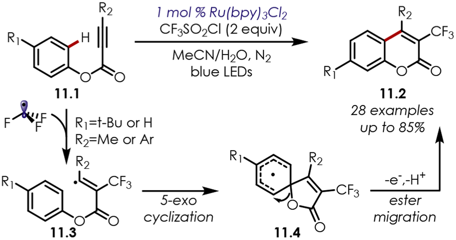 Scheme 11.