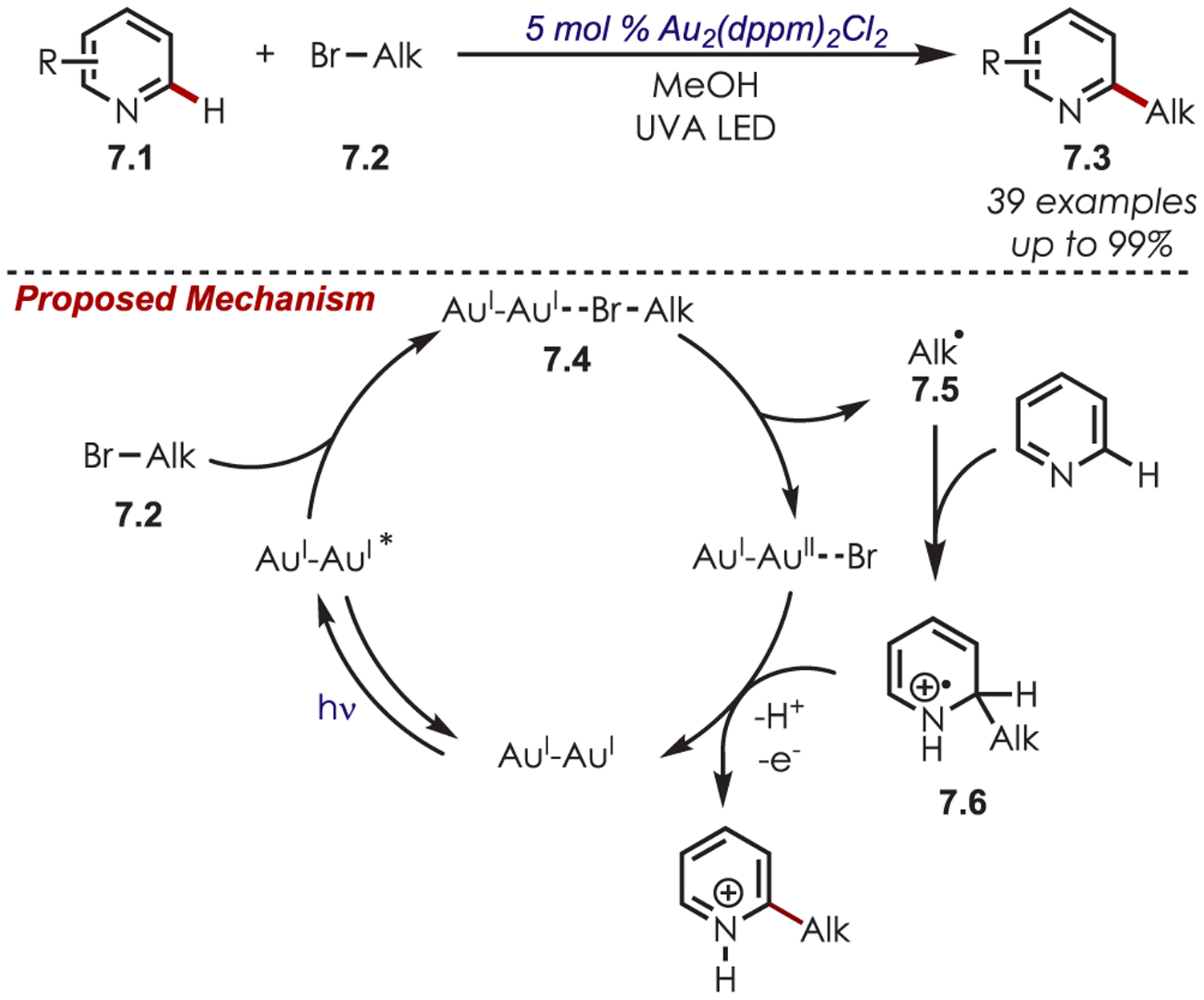 Scheme 7.