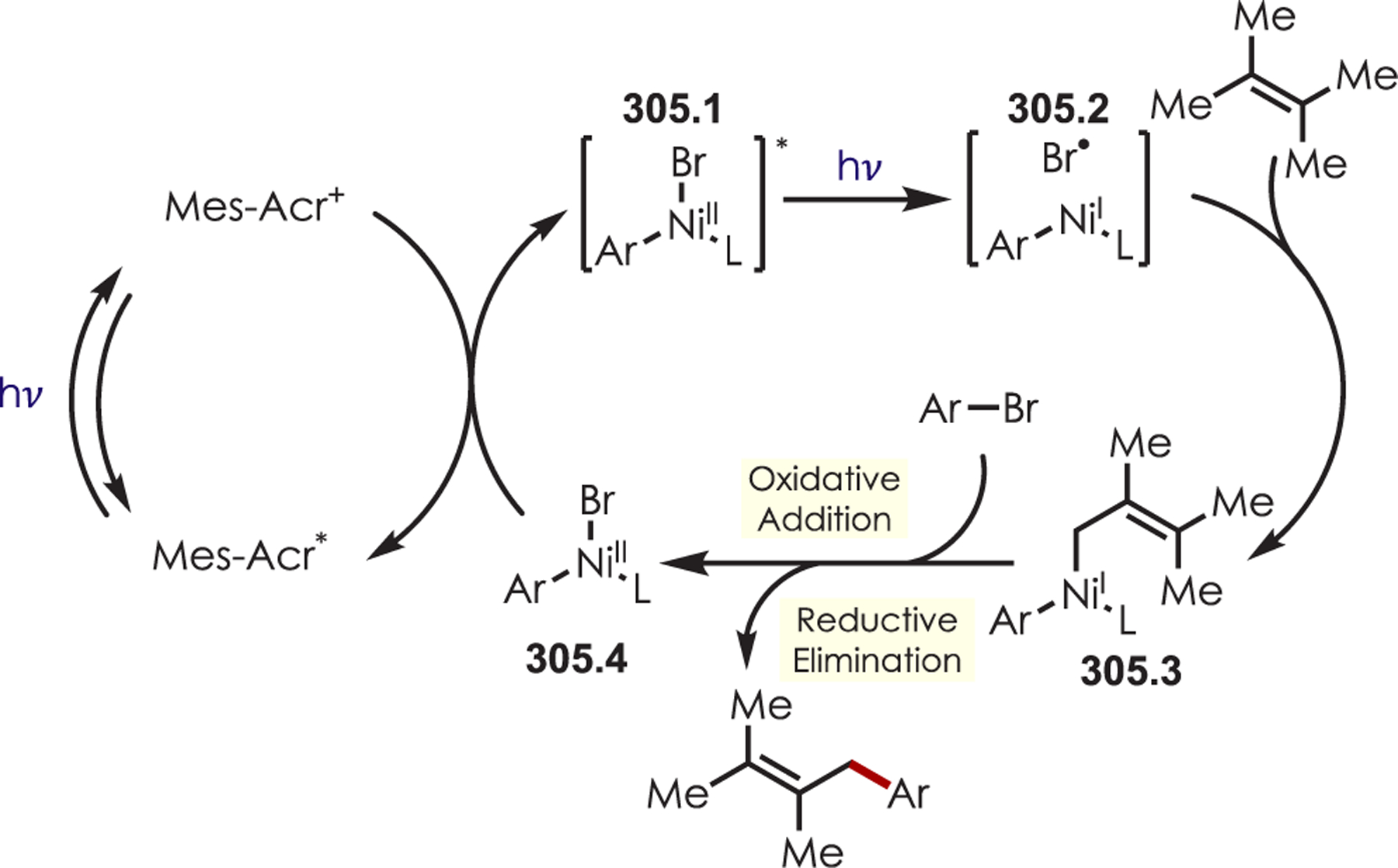 Scheme 305.