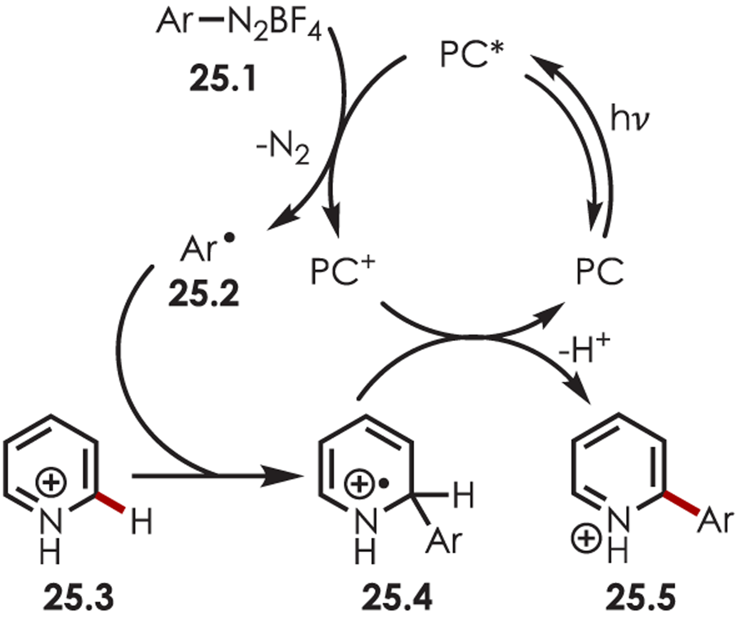 Scheme 25.