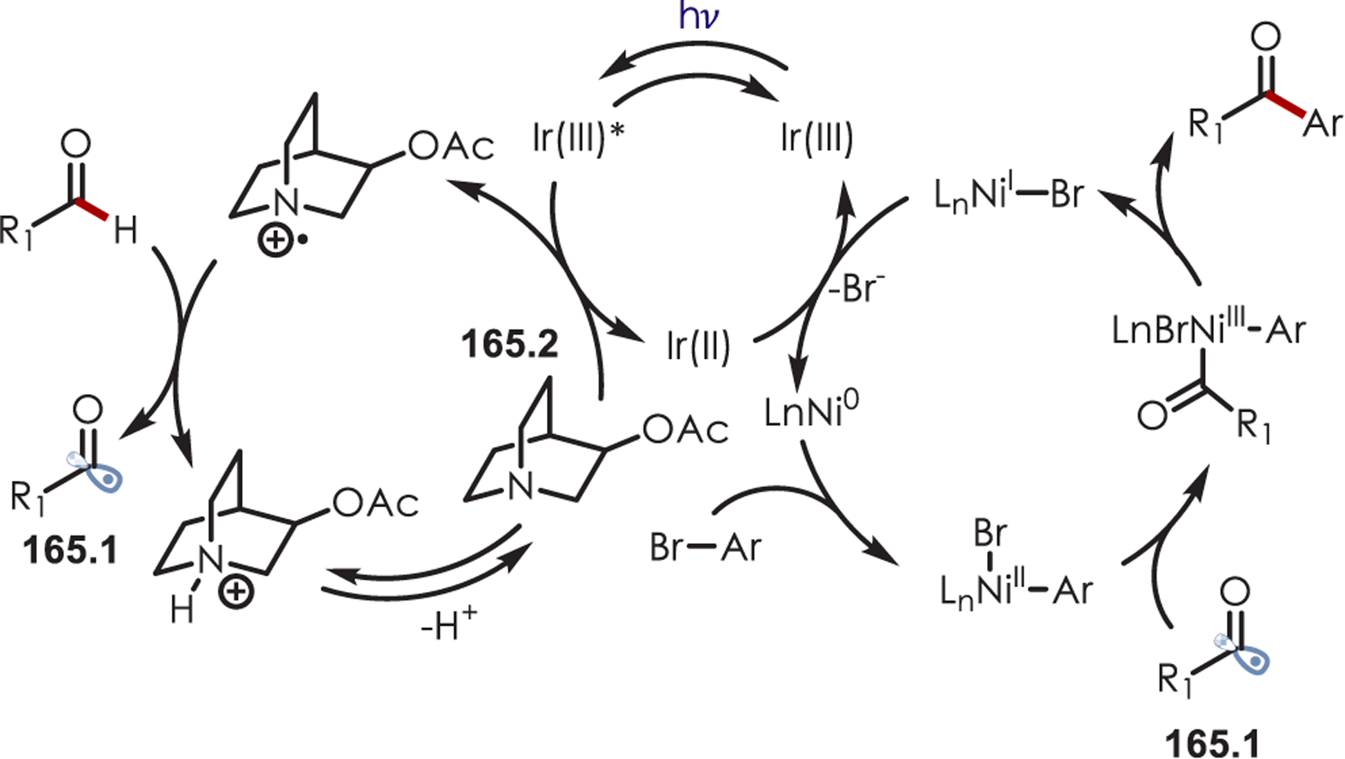 Scheme 165.