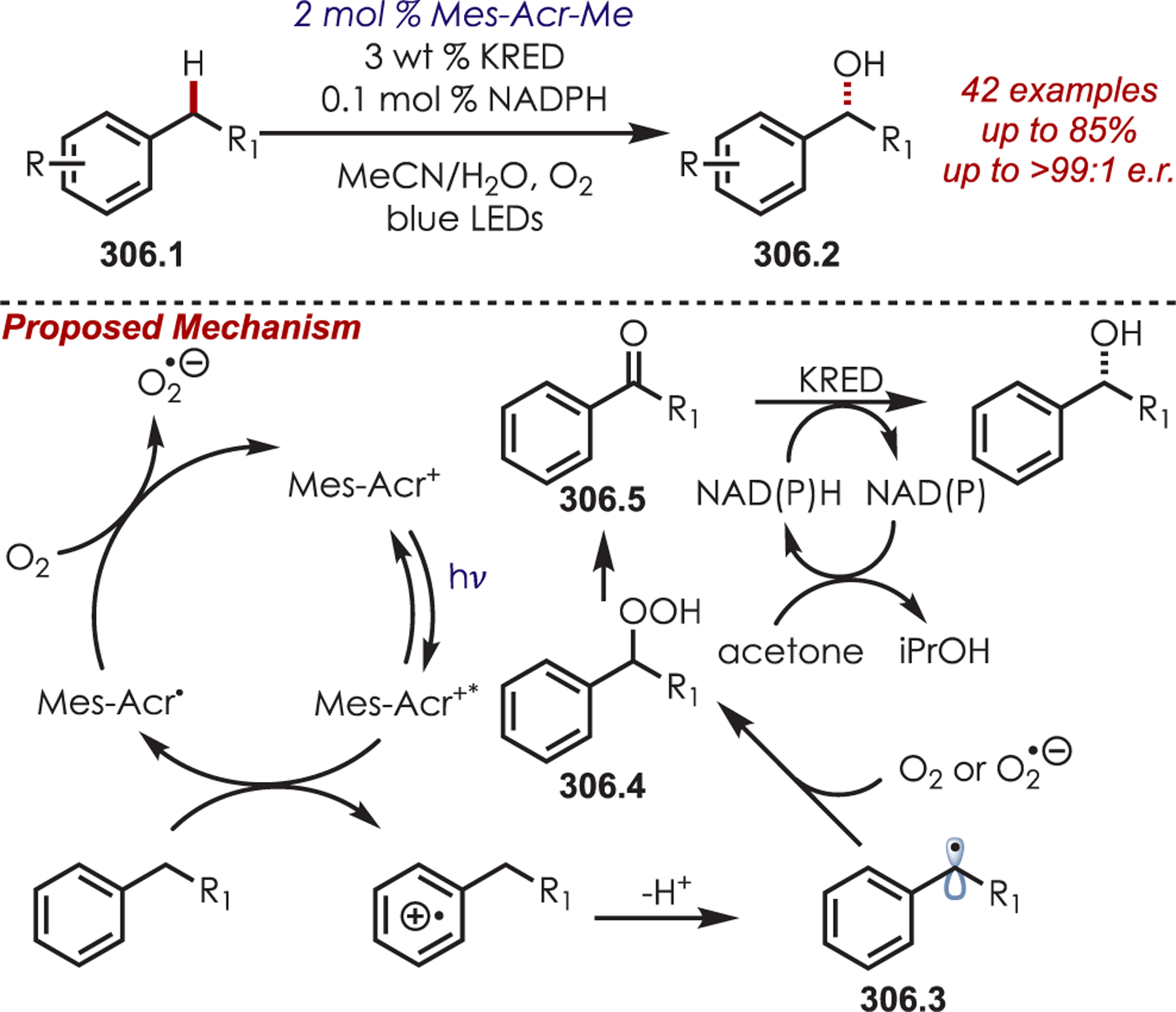 Scheme 306.