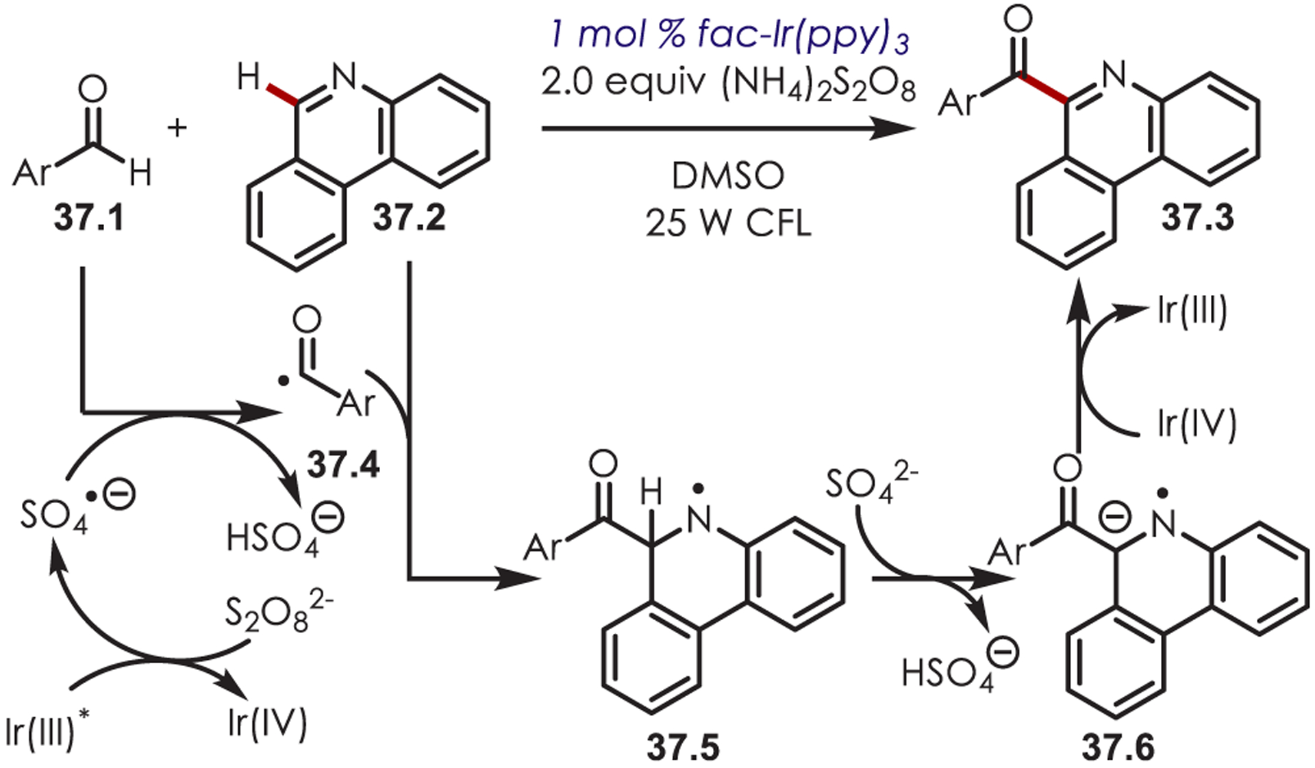 Scheme 37.