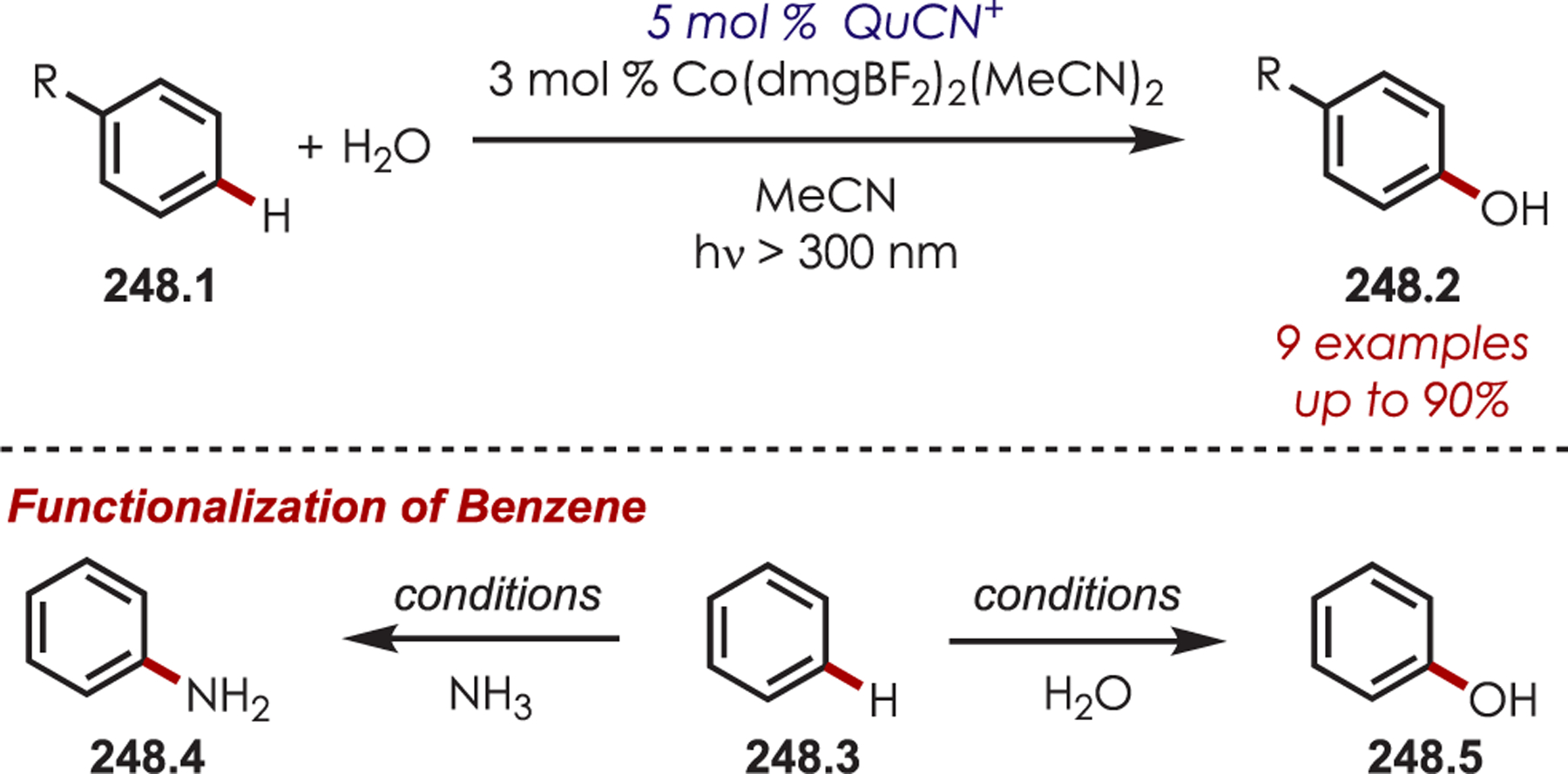 Scheme 248.