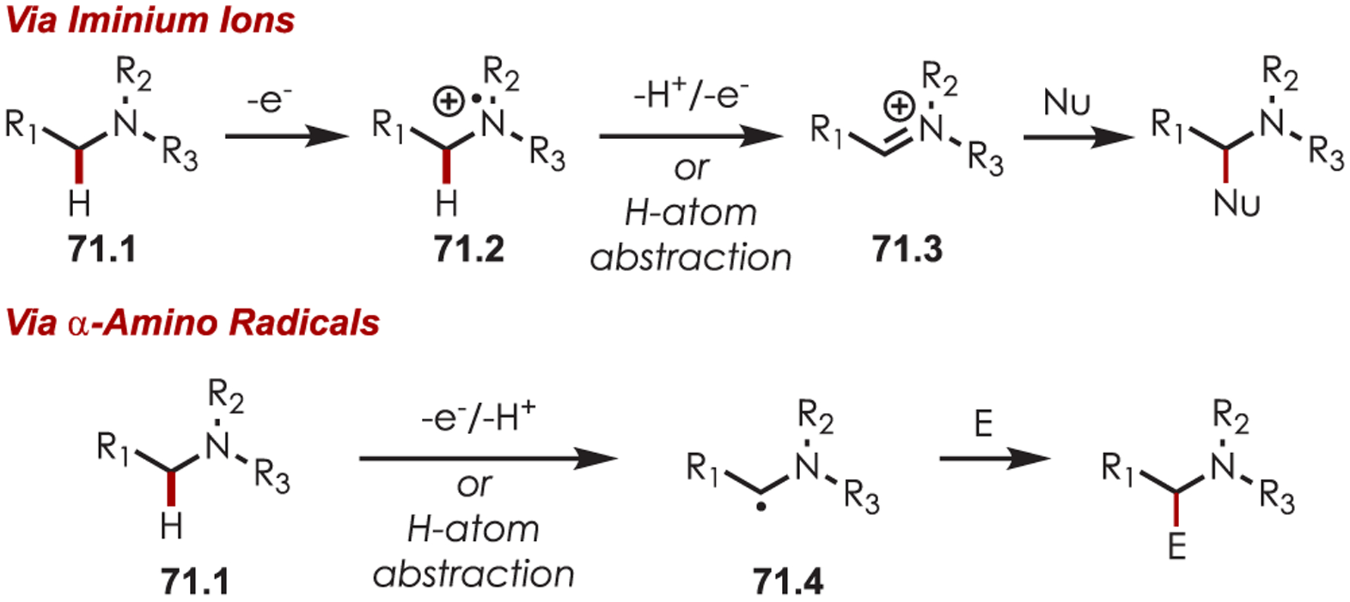 Scheme 71.