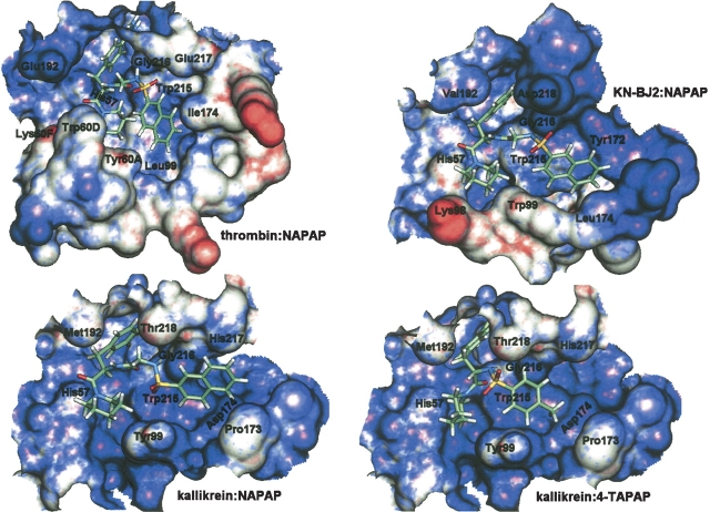 Figure 10.