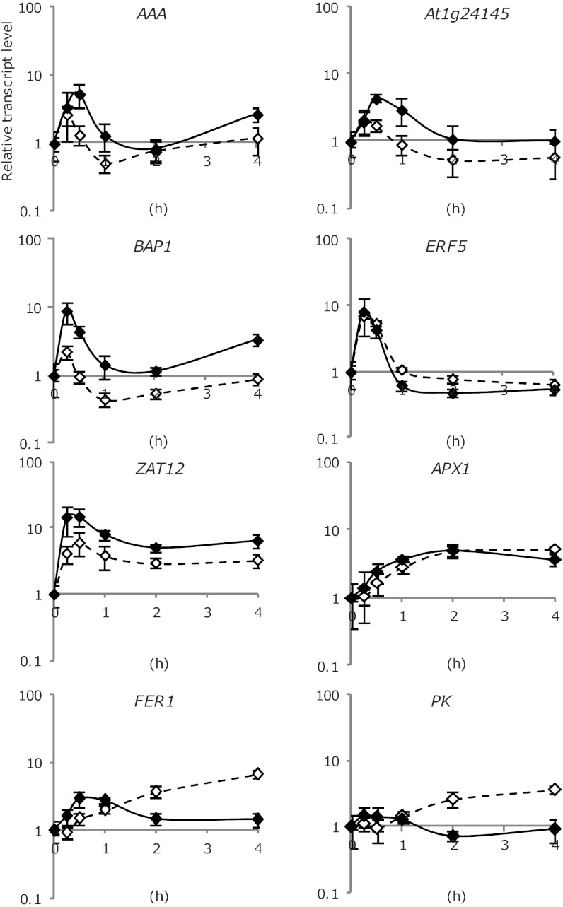 Fig. 4.