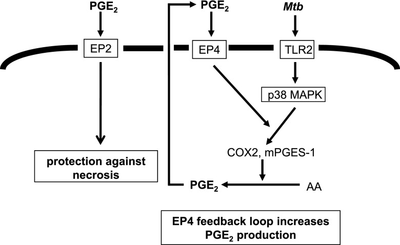 Figure 9.