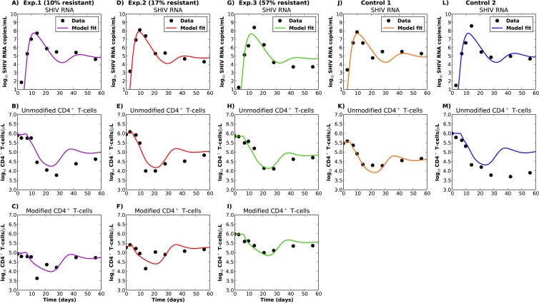 FIG 3