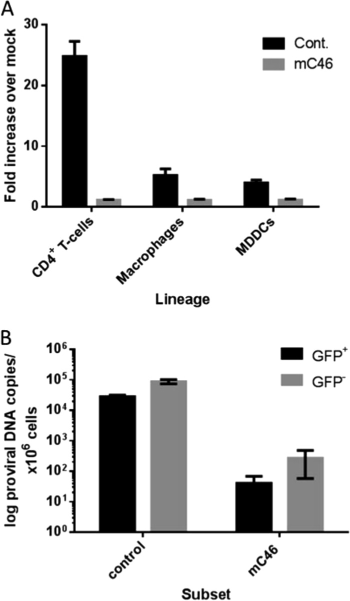 FIG 2