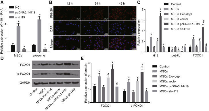 Figure 6