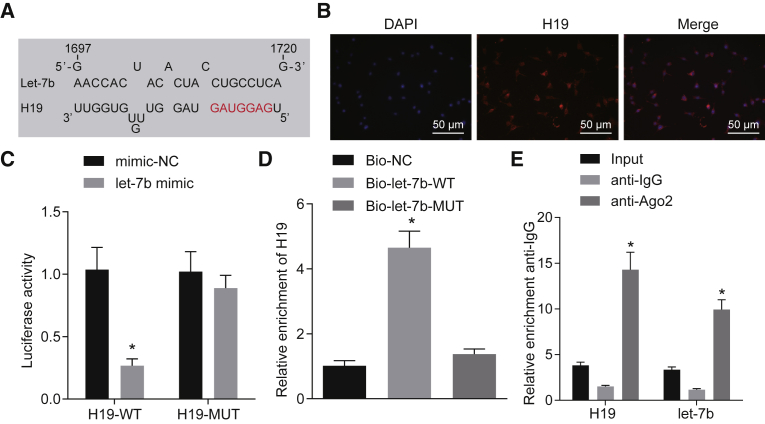 Figure 4