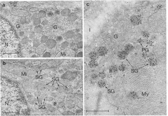 graphic file with name pnas00323-0208-a.jpg