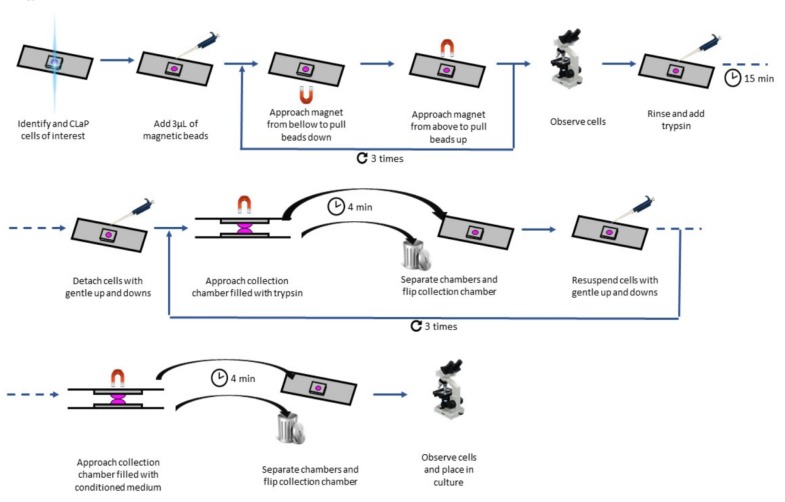 Figure 1—figure supplement 2.