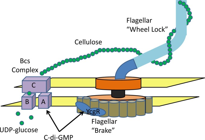 Fig 1