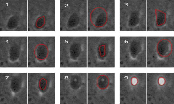 Fig. 4