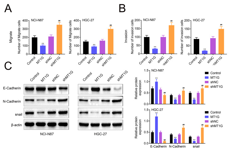 Figure 4 -