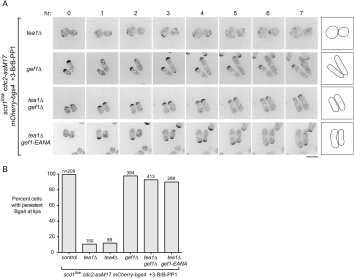 Fig. 4.