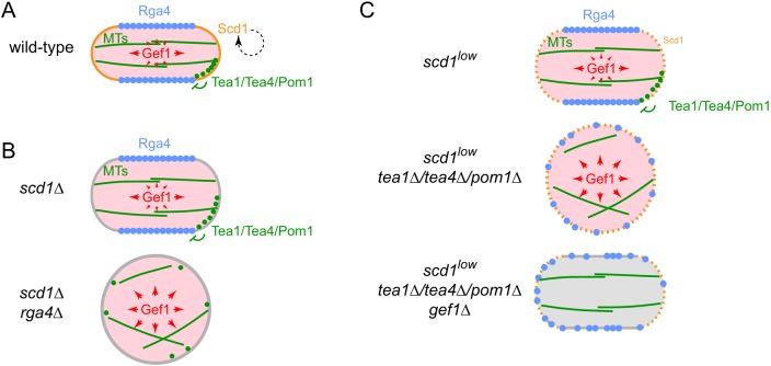 Fig. 8.