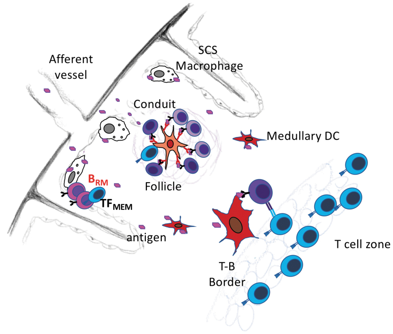 FIG. 3.