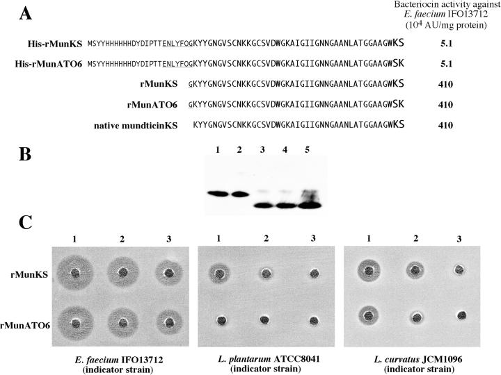 FIG. 4.