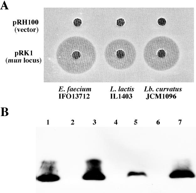 FIG. 5.