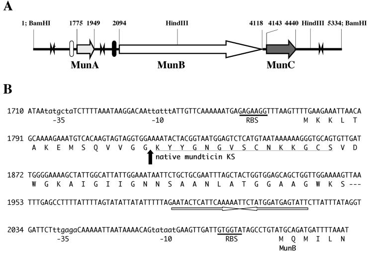 FIG. 2.