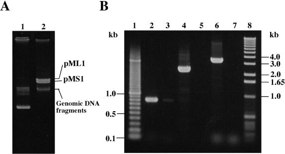 FIG. 6.