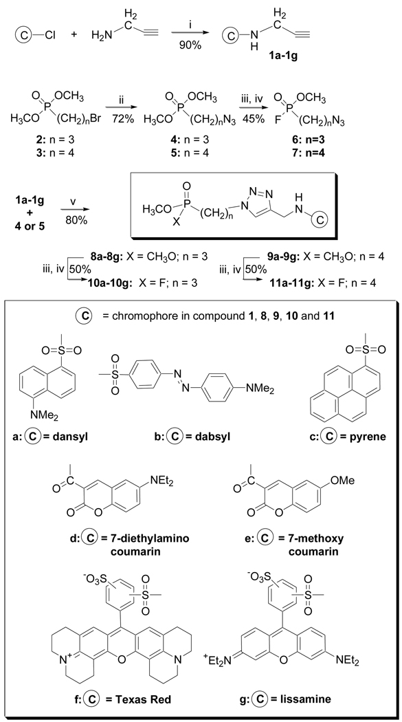 Scheme 1