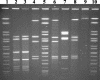 FIG. 1.