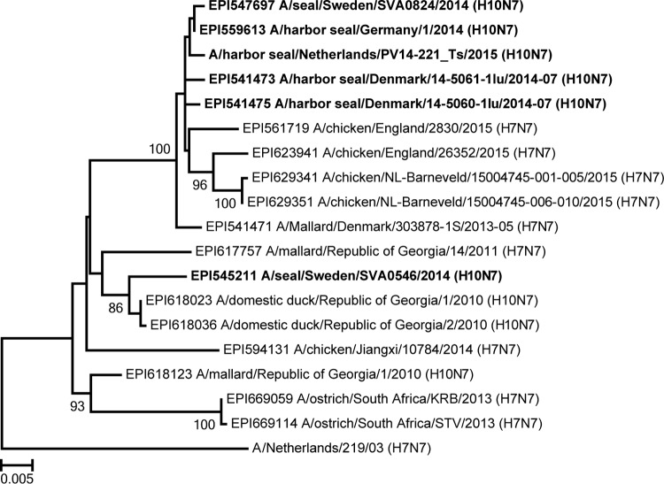 FIG 3