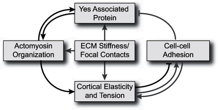 Fig. 9.