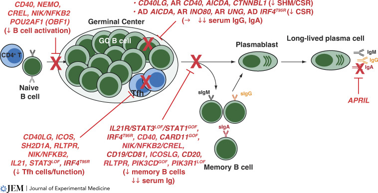 Figure 2.