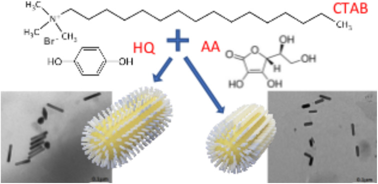 graphic file with name d3na00356f-ga.jpg