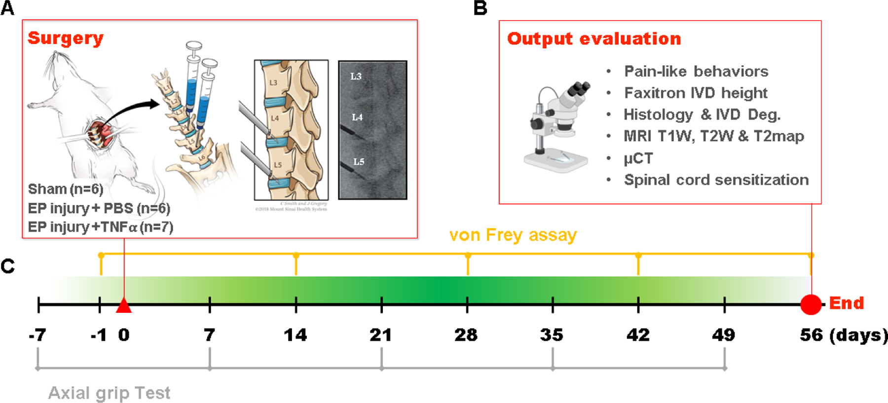 Figure 1: