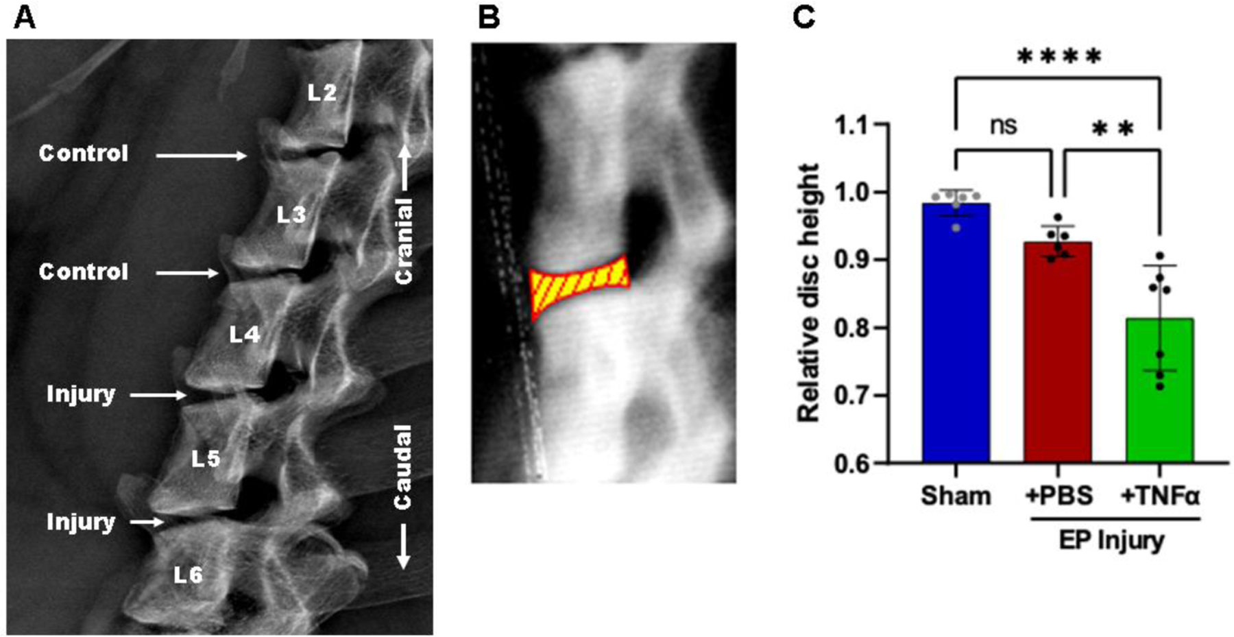 Figure 3: