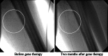 Fig. 6