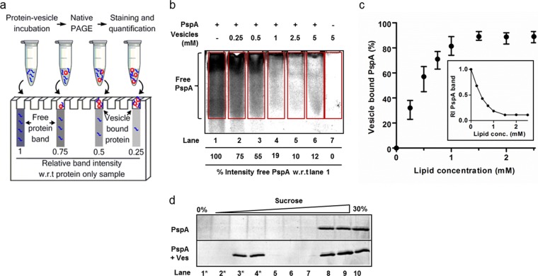 FIG 1 