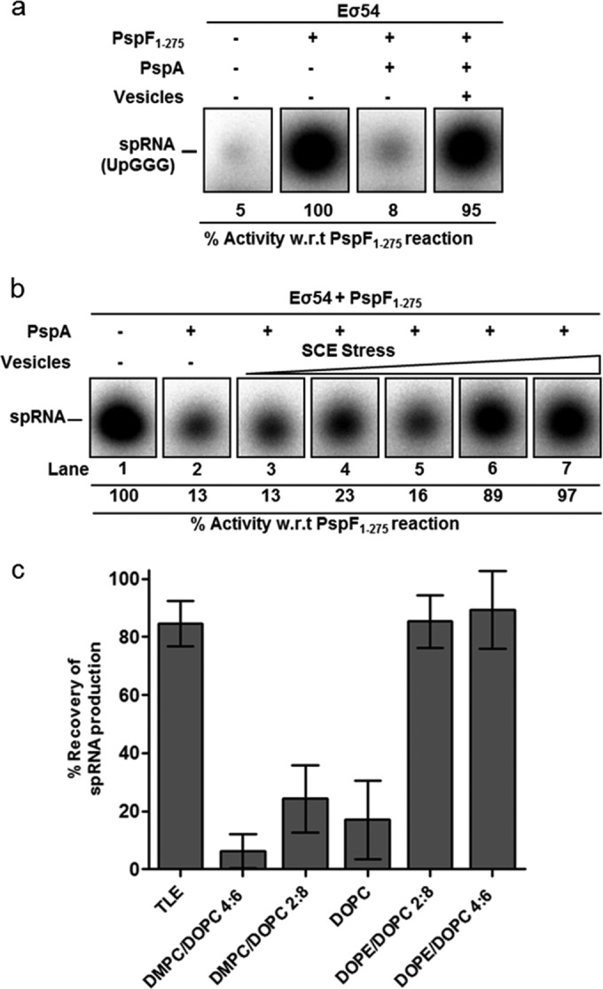 FIG 4 