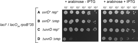 Figure 4