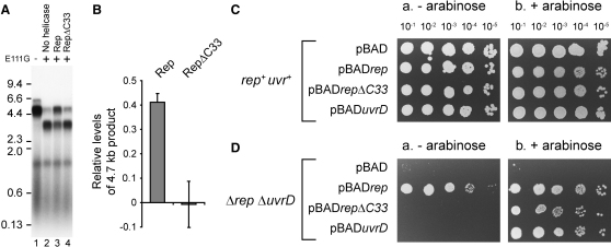 Figure 7