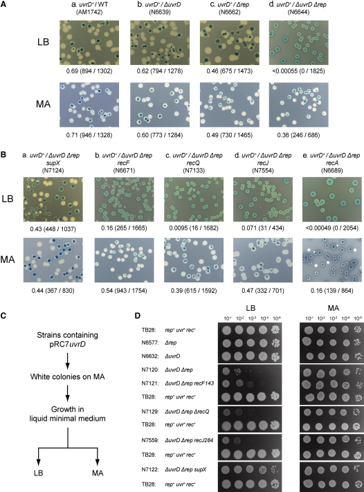 Figure 2