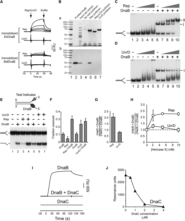 Figure 6