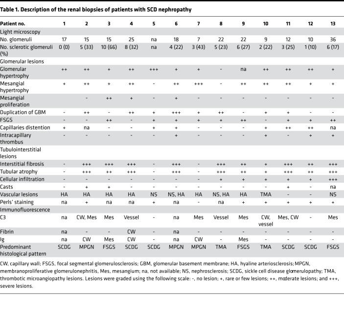 graphic file with name jciinsight-3-96910-g072.jpg