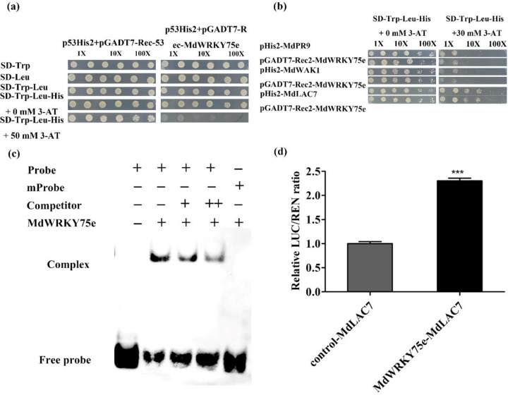 Fig. 12