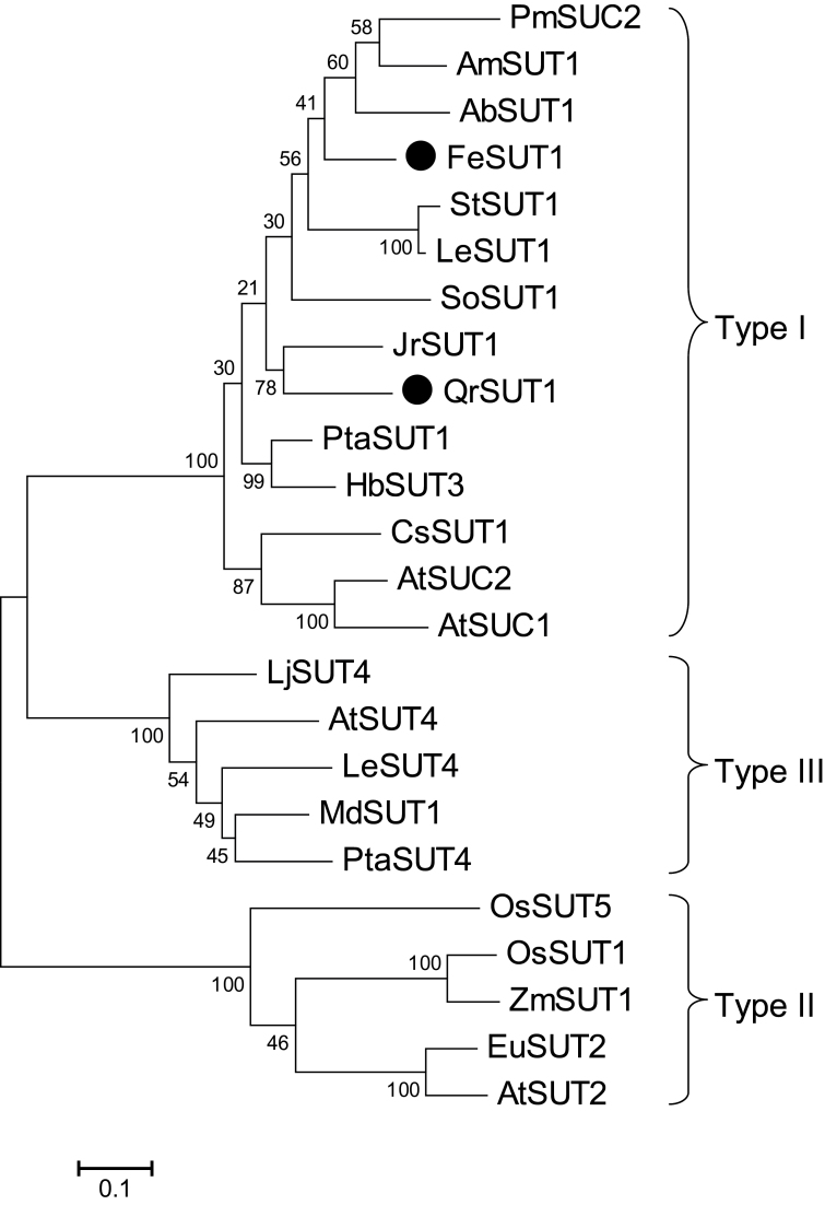 Fig. 3.